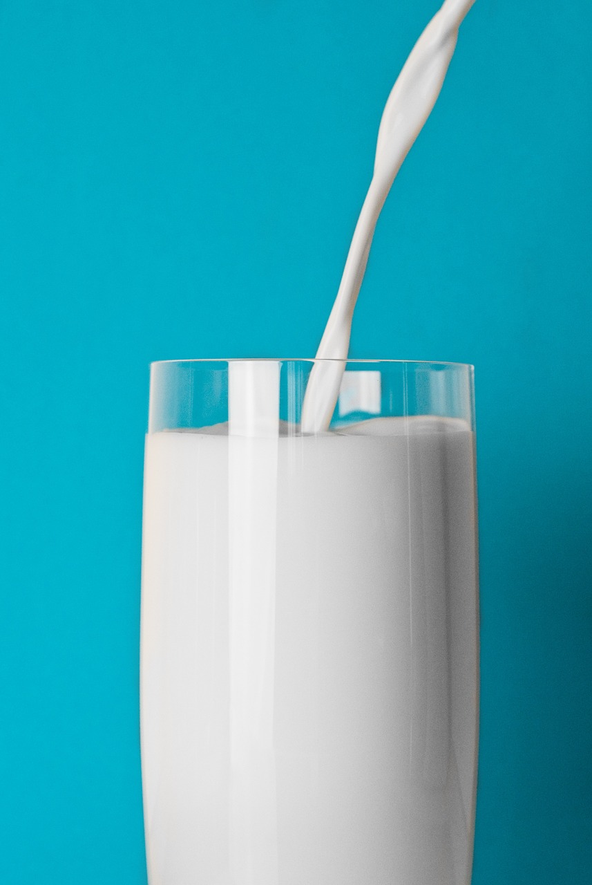 glass, milk, drink-925858.jpg